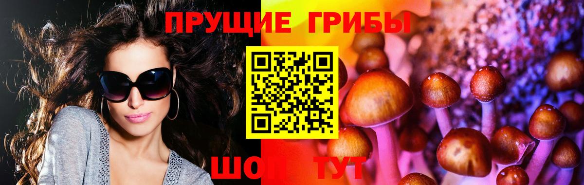 Ишим  Псилоцибиновые грибы MAGIC MUSHROOMS  Вход с VPN 
